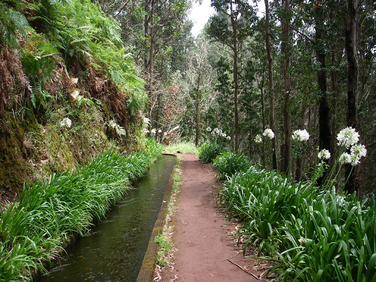 Levada, Madeira